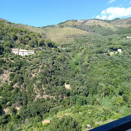 Pitta * Tivoli